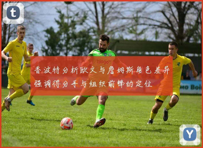 香波特分析欧文与詹姆斯角色差异强调得分手与组织前锋的定位
